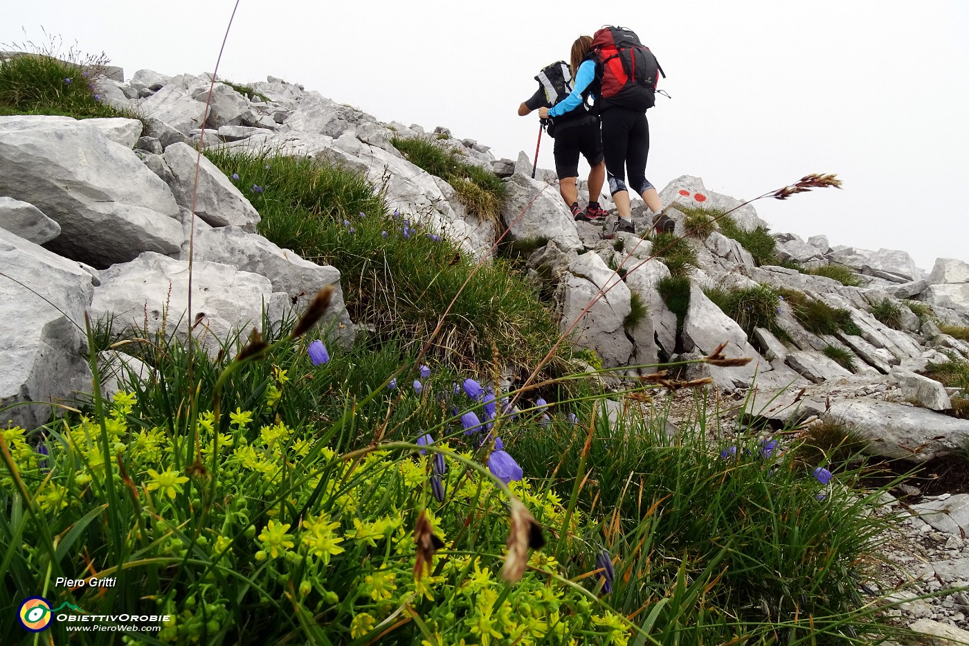 28 Sentiero tra fiori e dolomia.JPG -                                